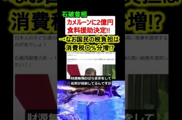 石破首相、カメルーンにお米 2億円無償支援決定!!→日本人の支援は…? #政治 #ニュース