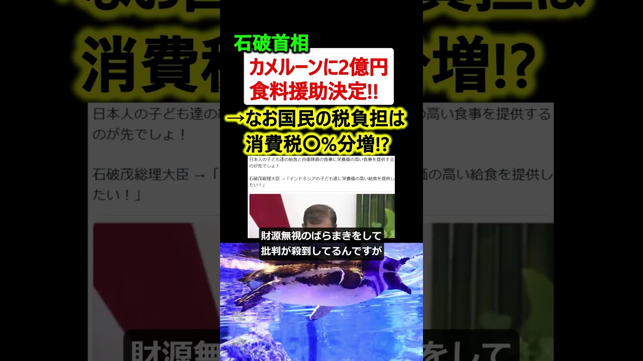 石破首相、カメルーンにお米 2億円無償支援決定!!→日本人の支援は…? #政治 #ニュース 石破首相、カメルーンにお米 2億円無償支援決定!!→日本人の支援は…? #政治 #ニュース