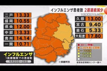インフルエンザと新型コロナ患者数　ともに２週連続で減少　岩手県 (25/01/29 20:30)