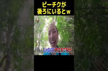 河北の使い方が天才的過ぎたｗ #神回 #イッテＱ