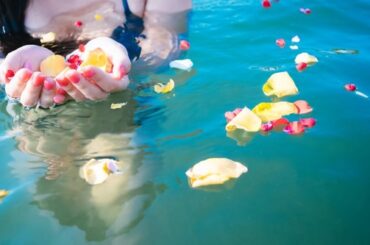 mizuho17810DSC_0771_s_TP_V4