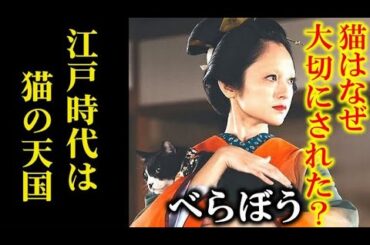 ｢べらぼう｣ 吉原の主人たちが猫を大切にする理由は…ドラマ感想
