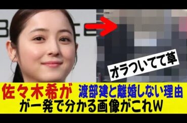 佐々木希が渡部建と離婚しない理由が一発で分かる画像がこれｗｗｗｗｗｗネットの反応/なんj/2ch/5ch/反応集/スレまとめ/ゆっくり