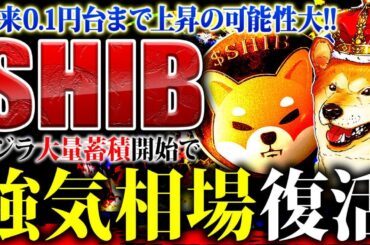 【SHIB(柴犬コイン)】仮想通貨バブルで0.1円に!?クジラ蓄積で反発高騰までのカウントダウン！押し目買いなら今がチャンス【仮想通貨】