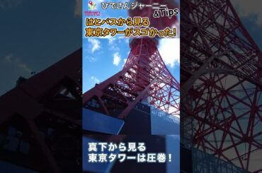怖いぐらい開放的なオープンルーフのはとバスツアーに乗ってみました　 #東京散策 #はとバス #旅行 #ソロ旅