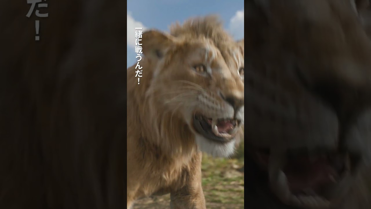 超実写プレミアム吹替版『ライオン・キング:ムファサ』大ヒット上映中!🦁ムファサ (尾上右近)🦁タカ(松田元太)🦁キロス(渡辺謙)運命が、宿命が、彼らを待っている─ 超実写プレミアム吹替版『ライオン・キング:ムファサ』大ヒット上映中!🦁ムファサ (尾上右近)🦁タカ(松田元太)🦁キロス(渡辺謙)運命が、宿命が、彼らを待っている─