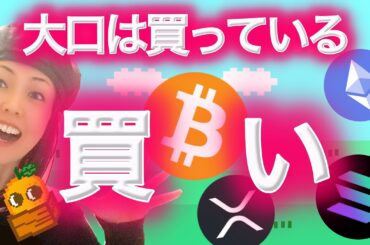 31,523BTC 爆買いしている大口投資家がいる！！！