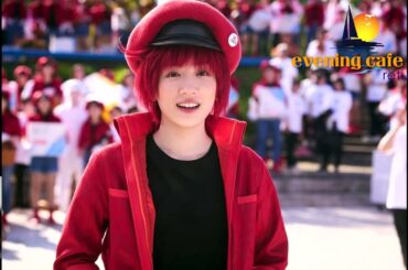 「映画『はたらく細胞』とほんの少し『白線流し』」2025.02.02