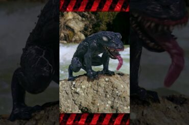 🐴 🐟 🐸この顔にピンときたら⇒⇒⇒ 映画館へGO❗『#ヴェノム：ザ・ラストダンス』🎬️大ヒット上映中！【字幕版／日本語吹替版】