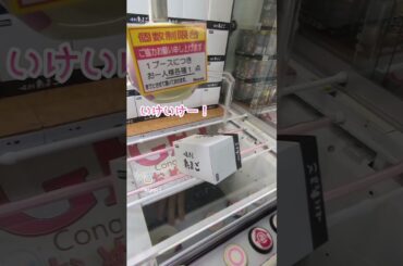 やらせ…なの…か？ #ゲーセン  #ベネクス #橋渡し #コツ #攻略 #クレーンゲーム #クレゲ #お菓子 #たまご #癒し #ハイエナ