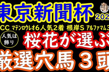 東京新聞杯2025桜花が選ぶ厳選穴馬３頭！実績馬に人気が集まるレースにこそ落とし穴がある！過去にも下剋上が多い結果となっているだけに無視できない存在とは？