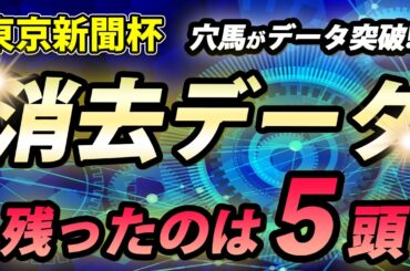 東京新聞杯 2025【消去データ公開】Dコース開催2週目で特徴のある一戦！データを突破したのは5頭！