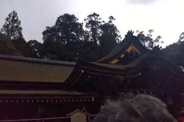三輪神社⛩️（白蛇🐍🤍龍神様🐲）今年は芸能人いませんでした🌈岩下志麻様Beautiful🩷