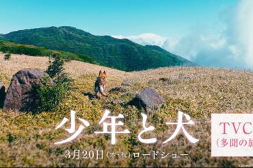 映画『少年と犬』TVCM 多聞の旅篇【3月20日(木・祝)公開】