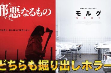 【ホラー2本】映画『邪悪なるもの』『モルグ 屍体消失 30周年デジタルリマスター』【ホラー映画 映画レビュー 考察 興行収入 興収 filmarks】