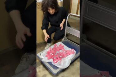 新しい仲間が増えて時代は進化すると思い涙を流した