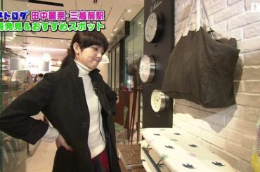 田中麗奈　メトログ　2014.02.25