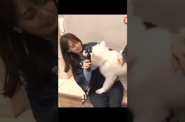 #女性アナウンサー  犬に押し倒されセ◯◯ラ⁉️フジ:井上清華