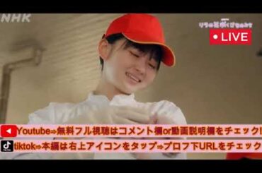 🔴リラの花咲くけものみち1話&2話【再放送/見逃し配信/NHK土曜ドラマ/フル】2025年2月1日＆8日 LIVE FULL