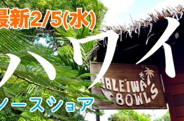 ハワイ【2/5(水)最新】マーメイドケーブとノースショア〜どこでもプライベートツアー
