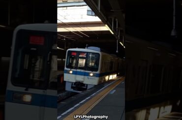 ZARD 揺れる想い Train Melody #坂井泉水 #izumisakai #ザード #japanesemusic #train #japanesetrain #japan #travel