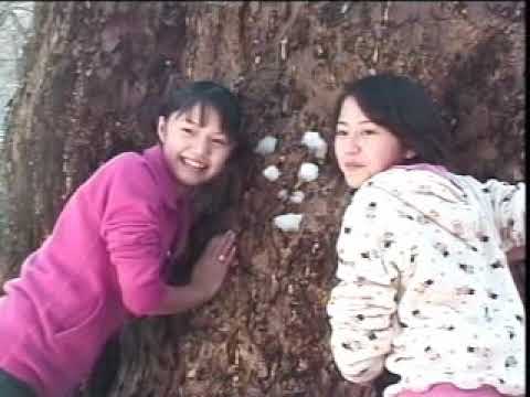 宮崎あおい　長澤まさみと対談　＠PUREPURE TV#2　#宮崎あおい　#長澤まさみ