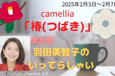 最新「椿（つばき）」【羽田美智子】いってらっしゃい