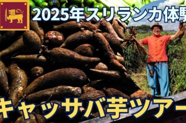 【スリランカ】2025年開催予定！キャッサバ芋ツアーについて！