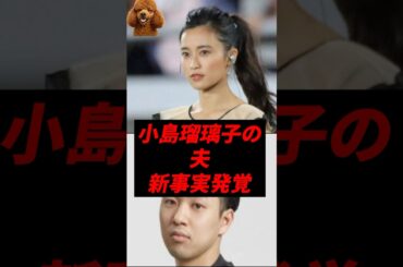 【速報】小島瑠璃子の夫、新事実発覚..