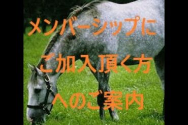 メンバーシップ　情報の閲覧方法　概要欄でも説明しています