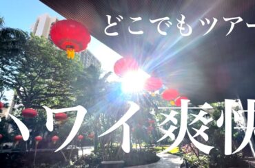 ハワイ爽快【ドンキで日本のお米が安い】アウラニもノースもどこでもツアー