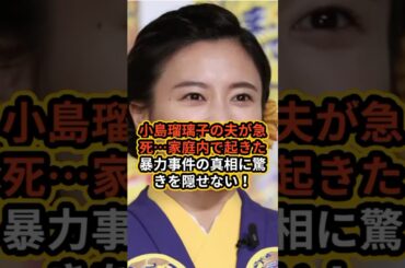 小島瑠璃子の夫が急死家庭内で起きた暴力事件の真相に驚きを隠せない！ #ゴシップ #芸能人#小島瑠璃子