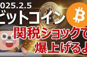 ビットコインがトランプ関税ショックで爆上げする理由