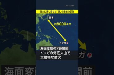 日本に押し寄せた不思議な津波の正体とは？／トンガ大規模噴火