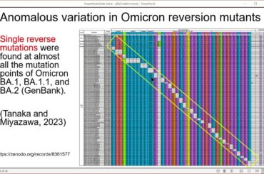 オミクロン株の変異と出現パターンの異常