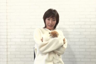 ＜高島礼子コメント＞ ネコにゃん～子猫はじめて体験物語2025～ | ＢＳテレ東