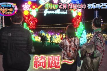 【予告】水バラ　早春の伊豆半島　ぐるり一周対決旅【城ヶ崎海岸～稲取～下田～沼津】