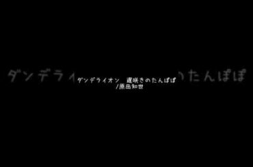 ダンデライオン~遅咲きのたんぽぽ~/原田知世 cover