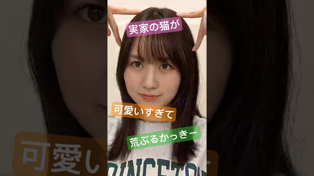 【賀喜遥香】実家の猫ちゃんにメロメロなかっきー #乃木坂46