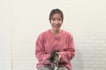 ＜小田さくらコメント＞ ネコにゃん～子猫はじめて体験物語2025～ | ＢＳテレ東