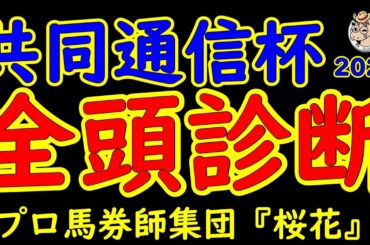 共同通信杯2025一週前レース予想全頭診断！クラシックへの登竜門というべきレースで昨年は皐月賞馬が誕生した！今年もネブラディスクやレッドキングリーやマスカレードボールなど好素質馬が揃った！