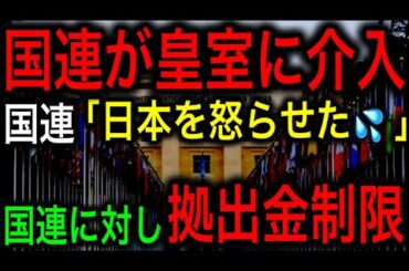 【衝撃】日本が国連委員会に激怒！不拠出を伝達する異例の対応に国連側が大慌て！！【JAPAN 凄い日本と世界のニュース】
