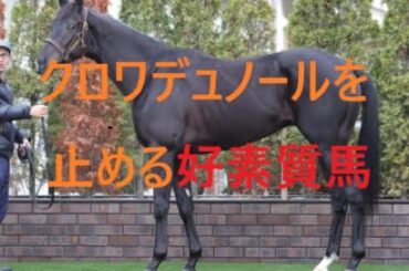 皐月賞でクロワデュノールを止める素質馬