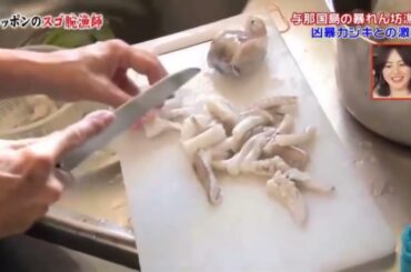 ニッポンのスゴ腕漁師 2018 夏命がけで狂暴魚に挑む高島礼子も惚れた豪快漁師