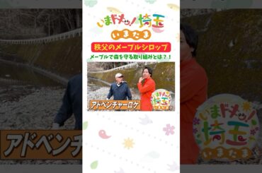 【予告】#メープルシロップ #秩父メープル #メープル  #パンケーキ #カエデ #森 #特産品 #カナイ #松井咲子 #小堺翔太 #いまたま #埼玉県 #埼玉 #shorts