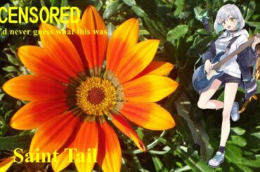 【#Kanade】#Saint Tail【#Vocaloid6 】#怪盗セイント・テール（#時を越えて）; 花奏，#ボーカロイド，#ボカロ