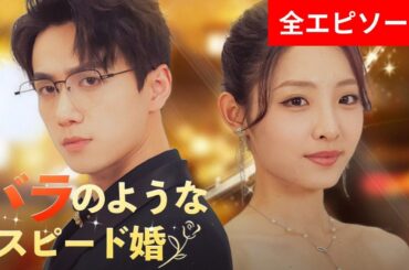 バラのようなスピード婚（日本語吹替版） | ドラマ中国 全話