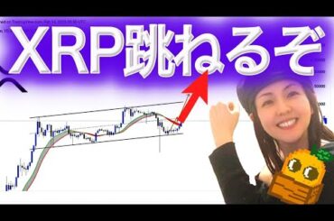 XRP ETF承認81% トランプコイン次は○ドルになる