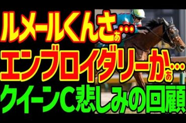 【ルメールふざけんじゃねぇ！】エンブロイダリーは桜花賞最有力！エリカエクスプレスのライバルに！でもシルクの勝負服のルメール！お前は許さない！2025年クイーンC回顧動画【競馬ゆっくり】【私の競馬論】