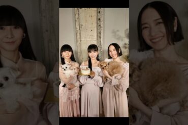 2025年02月14日15日 Perfume インスタグラム投稿・他寄せ集め～P.T.A. TV VOL.16Perfumeの「生配信かもしれない」配信たのし〜〜一生、生配信したい🤲🏻w需要ある？😂